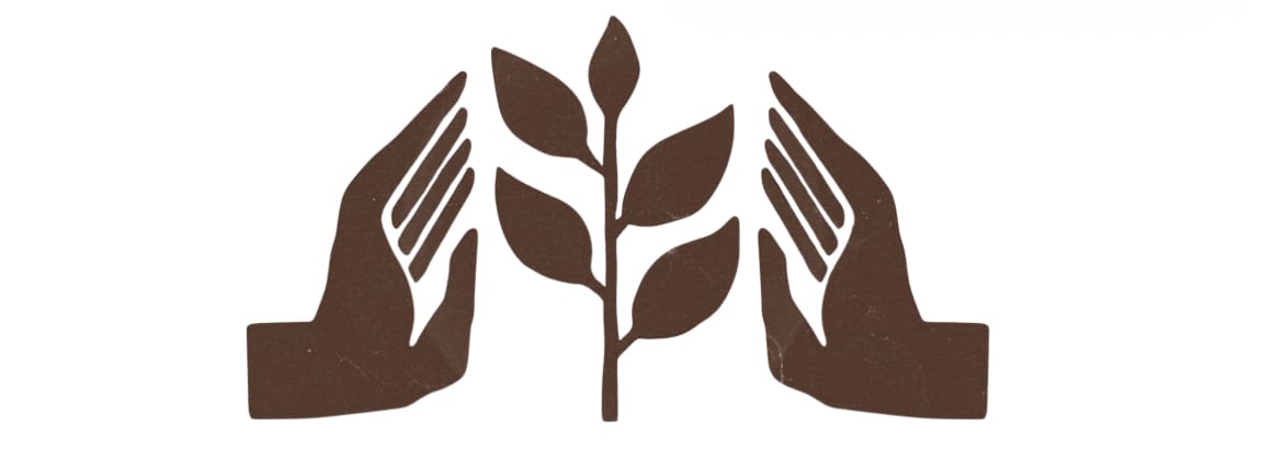 The EverHome Letters